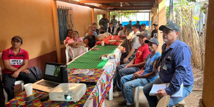 Apuestan por la tilapia para mejorar su alimentación y generar ingresos