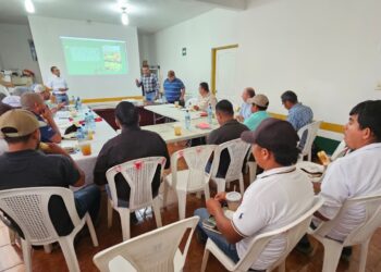 Apuestan por prácticas amigables con el medio ambiente