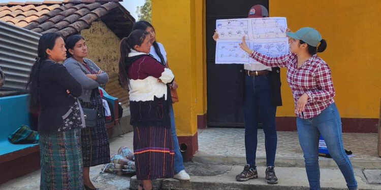 Asistencia técnica a familias Chocanuleu fortalecen su producción de alimentos