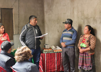 Becarios internacionales constatan el éxito de la agricultura orientada al mercado