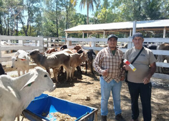 Cifra récord de inspecciones pecuarias contra el Gusano Barrenador