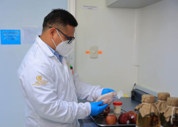 Codex Alimentarius, pilar para garantizar alimentos seguros y de calidad en Guatemala