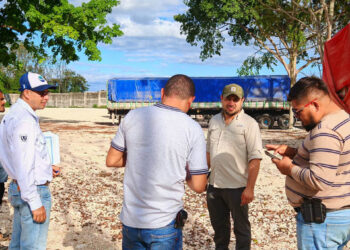 Continúan jornadas para tramitar licencias sanitarias de transporte en Petén