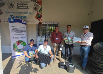 Cooperación coreana fortalece producción de pilones en Zacapa