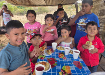 Cosechan acelga y fomentan alimentación saludable en Baja Verapaz