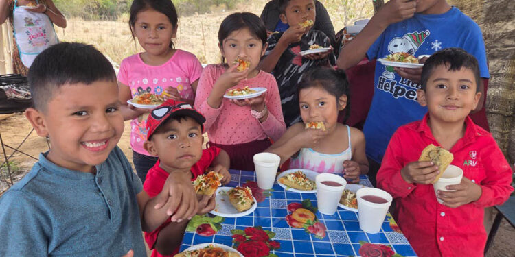 Cosechan acelga y fomentan alimentación saludable en Baja Verapaz