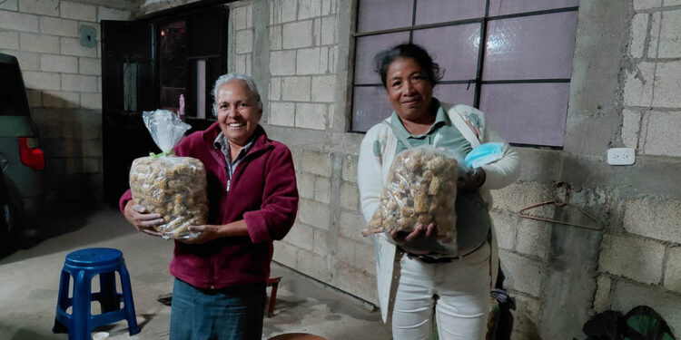 Cultivo de hongo ostra un motor económico para la comunidad