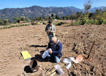 En marcha levantamiento de muestras de suelo en San Marcos para elaborar mapa de fertilidad