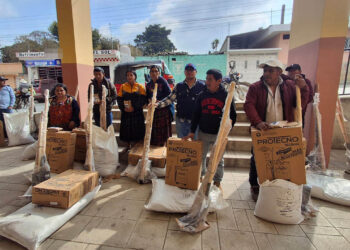 Entre semillas y esperanza, familias de Uspantán siembran sus cultivos