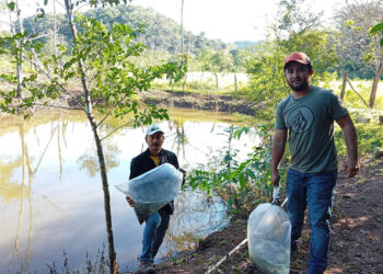 Entrega de alevines impulsan producción acuícola en Petén