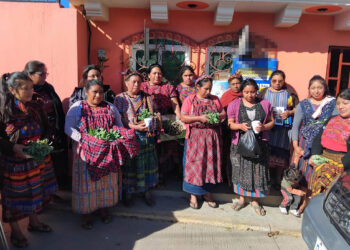 Entregan semillas y pilones para establecer más de 20 huertos familiares