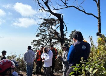Evalúan regeneración vegetal y brechas cortafuego en zonas vulnerables de Suchitepéquez
