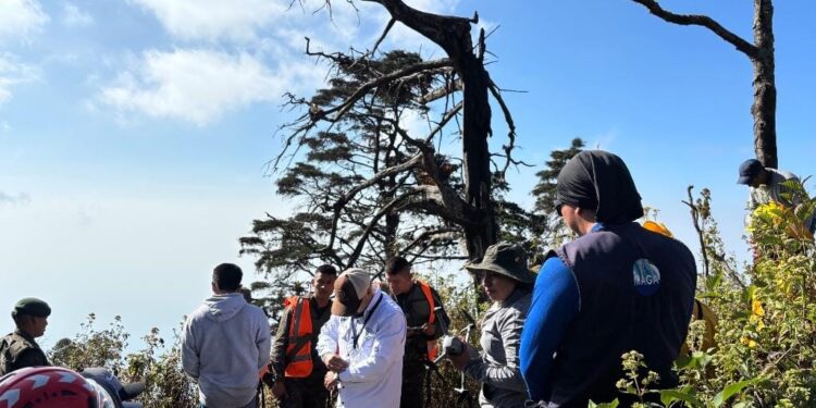 Evalúan regeneración vegetal y brechas cortafuego en zonas vulnerables de Suchitepéquez
