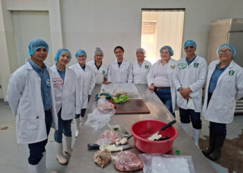 Extensionistas de Hogar Rural de Quetzaltenango optimizan sus capacidades técnicas