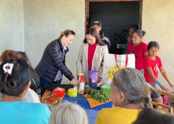 Familias de Conguaco innovan con tortillas nutritivas de plantas nativas