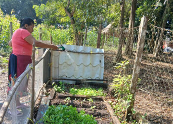 Familias rurales reciben asistencia para mejorar sus cultivos de alevines