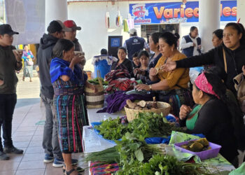 Feria del Agricultor dinamiza el comercio directo en Baja Verapaz