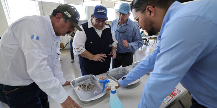 Fortalecen coordinación con sector semillero exportador