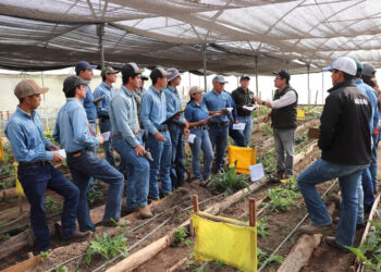 Fortalecen formación de estudiantes para el desarrollo de los sectores forestal y agrícola
