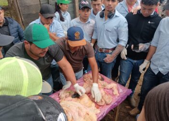 Futuros agrónomos se capacitan en inseminación artificial de bovinos