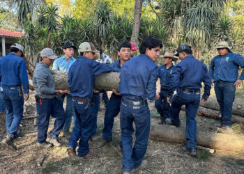 Futuros peritos desarrollan habilidades en la cadena de transformación de la madera