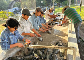 Futuros profesionales del agro realizan prácticas en acuicultura y fruticultura en Amatitlán