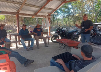 Grupos del CADER aprenden a elaborar pilones con apoyo de KOPIA