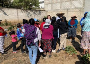 Huertos familiares beneficiarán a 26 familias de San Mateo