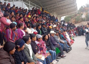 Huertos familiares fortalecen alimentación e ingresos de hogares en el altiplano