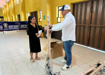 Huertos que dan alimento y esperanza