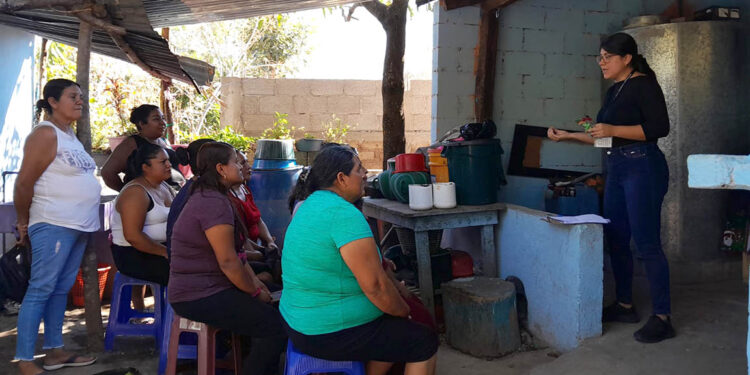 Impulsan el cultivo de plantas nativas y uso de composta orgánica