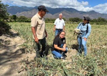 Impulsan el desarrollo rural con asistencia para agricultores de Chispan