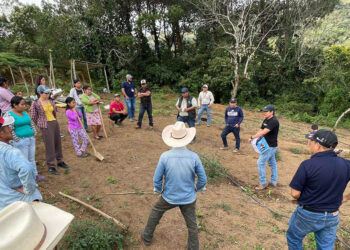 Impulsan el establecimiento de huertos para promover la disponibilidad de alimentos