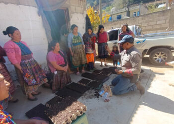 Impulsan la producción artesanal de pilones en Quetzaltenango