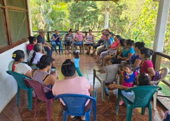 Impulsan la rentabilidad porcina y la crianza tecnificada