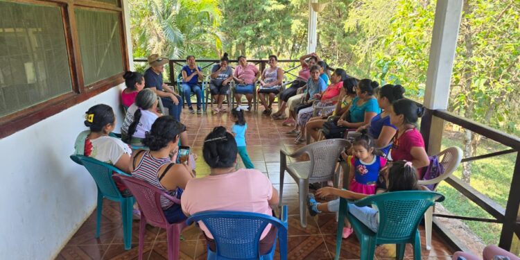 Impulsan la rentabilidad porcina y la crianza tecnificada