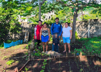 Impulsan producción de hortalizas nutritivas en huertos familiares