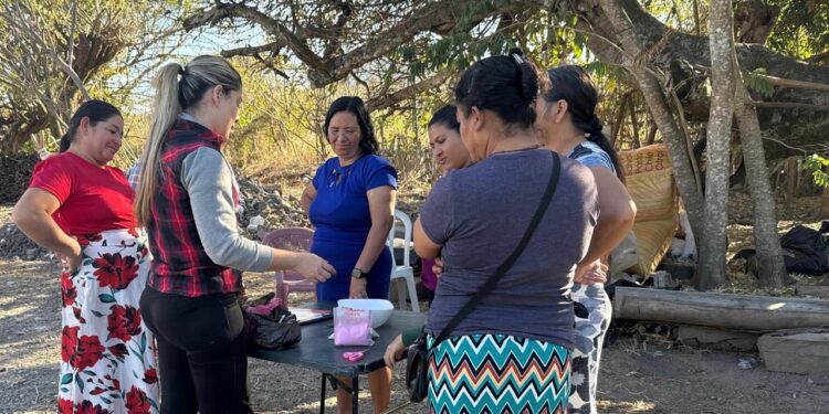 Mejoran sanidad avícola con insumos naturales