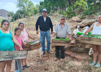 Mejoran seguridad alimentaria al diversificar cultivos en Conguaco