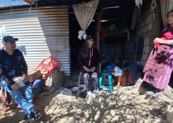 Monitoreo constante permite avances positivos en seguridad alimentaria