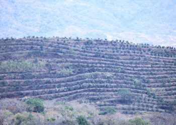 Monitoreo en 278 municipios por riesgo de frío, calor extremo y vientos