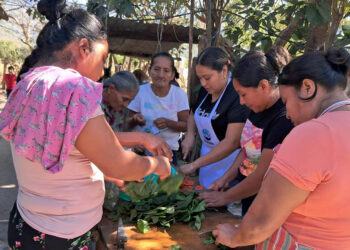 Mujeres de Baja Verapaz transforman recursos locales en platillos nutritivos