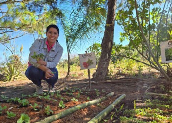 Mujeres de Yupiltepeque fortalecen la economía familiar con huertos familiares