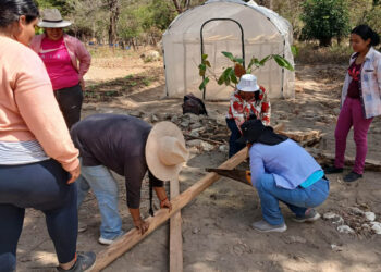 Optimizan la producción de pilones en Zacapa mediante gestión hídrica