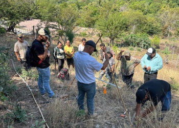 Prácticas agrícolas sostenibles protegen recursos naturales en Río Hondo