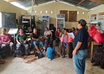 Productoras de cacao se organizan para impulsar emprendimientos