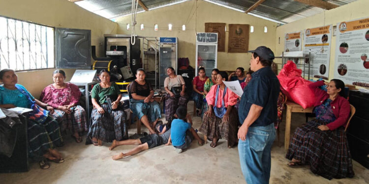 Productoras de cacao se organizan para impulsar emprendimientos