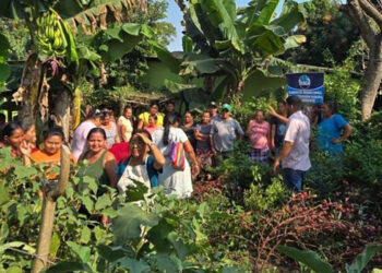Productores de Escuintla fortalecen conocimientos en agricultura y porcicultura