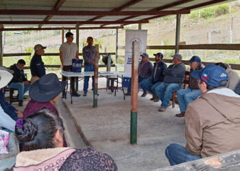 Productores de Quiché fortalecen capacidades para mejorar competitividad agropecuaria