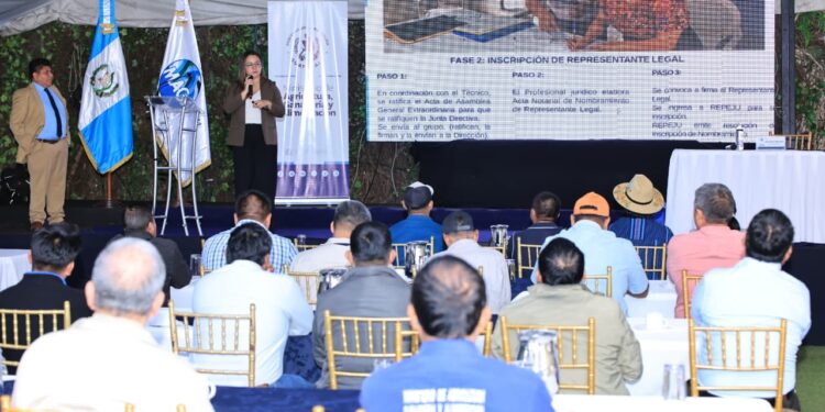 Productores fortalecen su futuro al formalizar 35 organizaciones agropecuarias